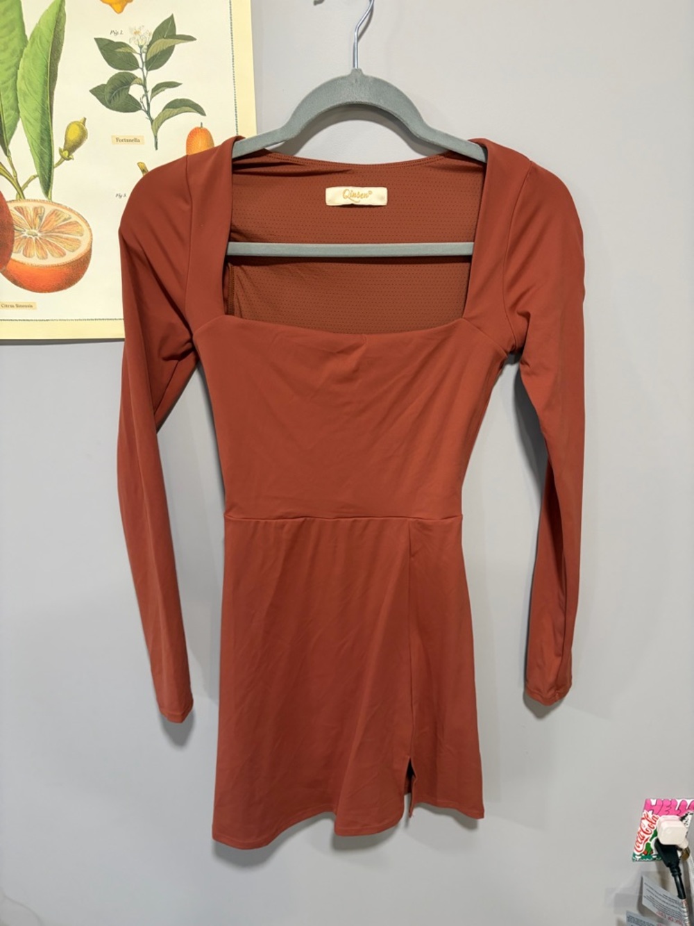 Rust Square Neck Long Sleeve Skater Dress